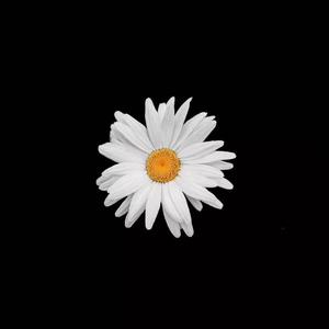 日本精㊙️a在线观看
